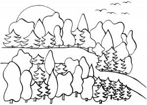 Раскраска зимний лес для детей 6 7 лет #25 #316999