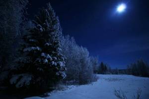 Раскраска зимняя ночь #1 #317505