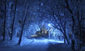 Раскраска зимняя ночь #5 #317509