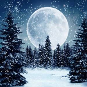Раскраска зимняя ночь #7 #317511