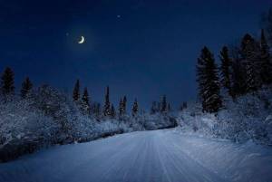 Раскраска зимняя ночь #9 #317513