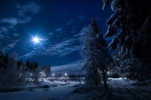 Раскраска зимняя ночь #10 #317514
