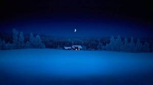 Раскраска зимняя ночь #16 #317520