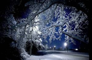 Раскраска зимняя ночь #18 #317522