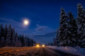 Раскраска зимняя ночь #20 #317524