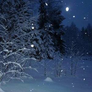 Раскраска зимняя ночь #21 #317525