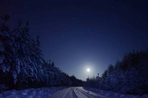 Раскраска зимняя ночь #22 #317526