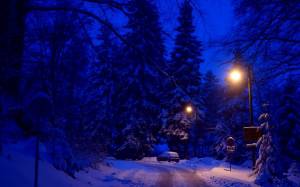 Раскраска зимняя ночь #35 #317539