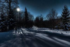 Раскраска зимняя ночь #36 #317540