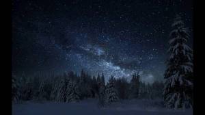 Раскраска зимняя ночь #37 #317541