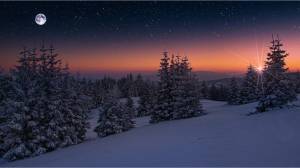 Раскраска зимняя ночь #39 #317543