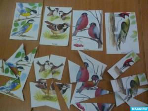 Раскраска зимующие птицы в средней группе #27 #318019