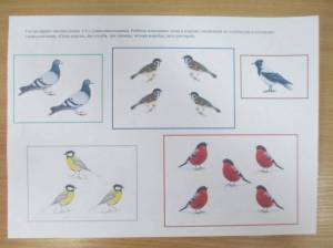 Раскраска зимующие птицы в средней группе #31 #318023