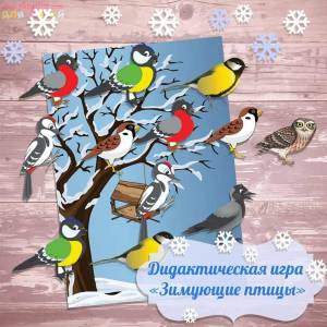 Раскраска зимующие птицы в средней группе #33 #318025