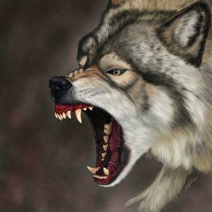 Раскраска злой волк #2 #318301