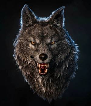 Раскраска злой волк #37 #318336