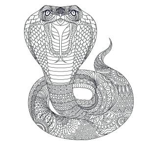 Раскраска змея антистресс #11 #318734