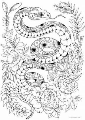 Раскраска змея антистресс #13 #318736
