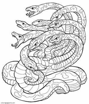 Раскраска змея антистресс #20 #318743