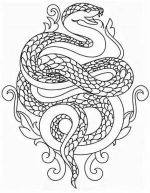 Раскраска змея антистресс #27 #318750