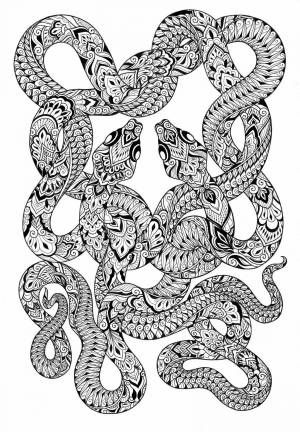 Раскраска змея антистресс #29 #318752