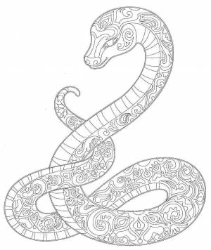 Раскраска змея антистресс #33 #318756