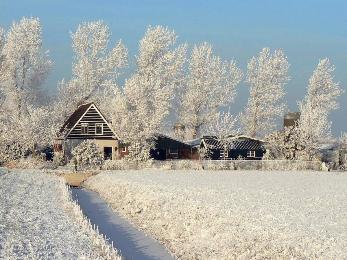 Зимняя деревня #2