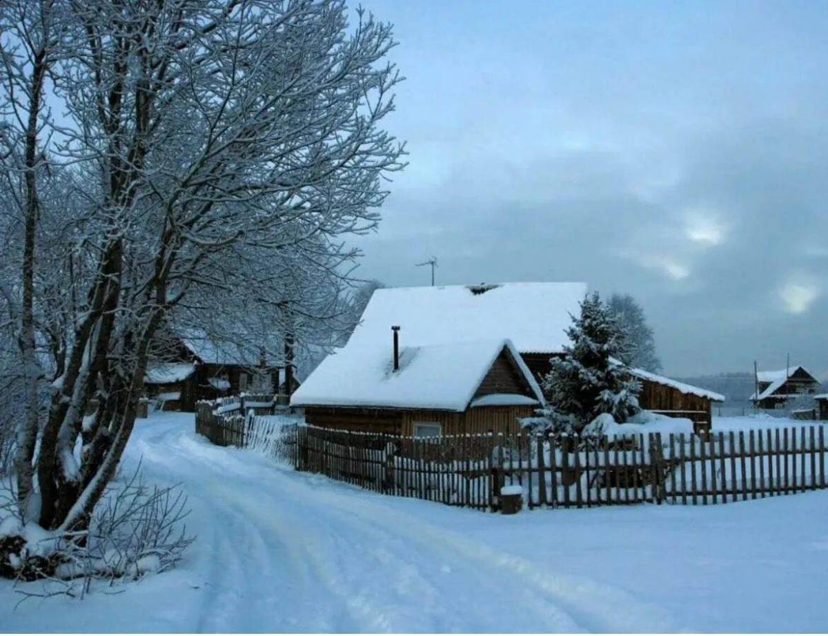 Зимняя деревня #6