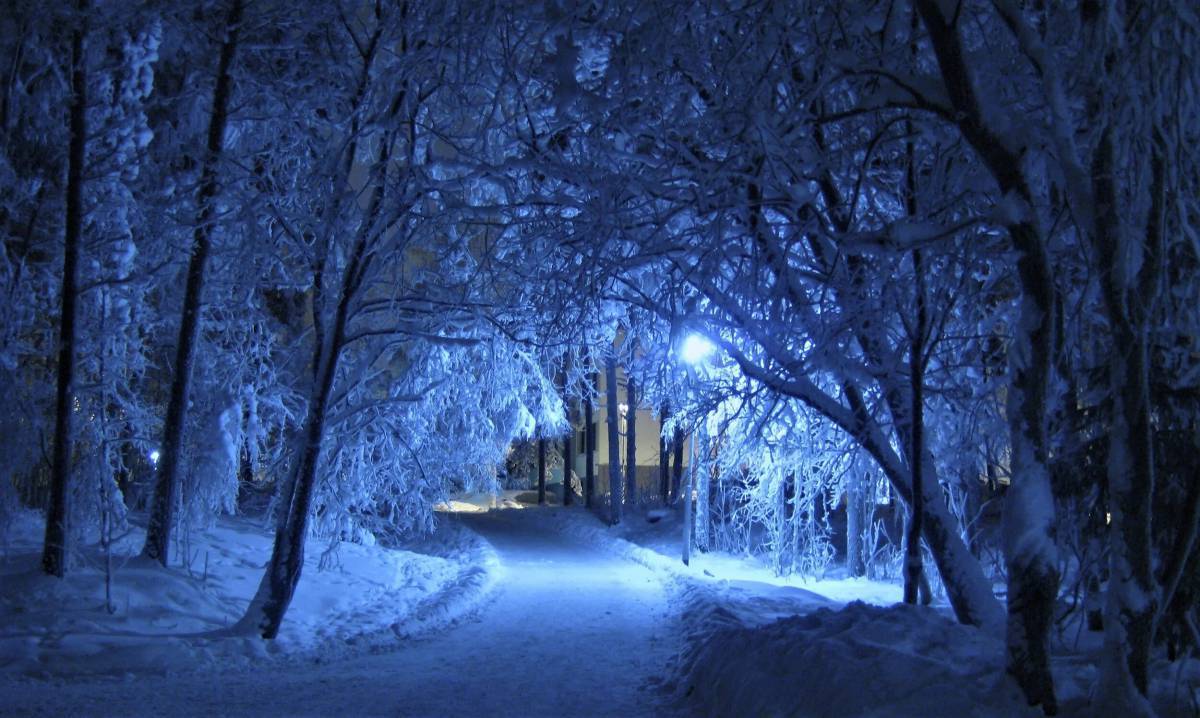 Зимняя ночь #5