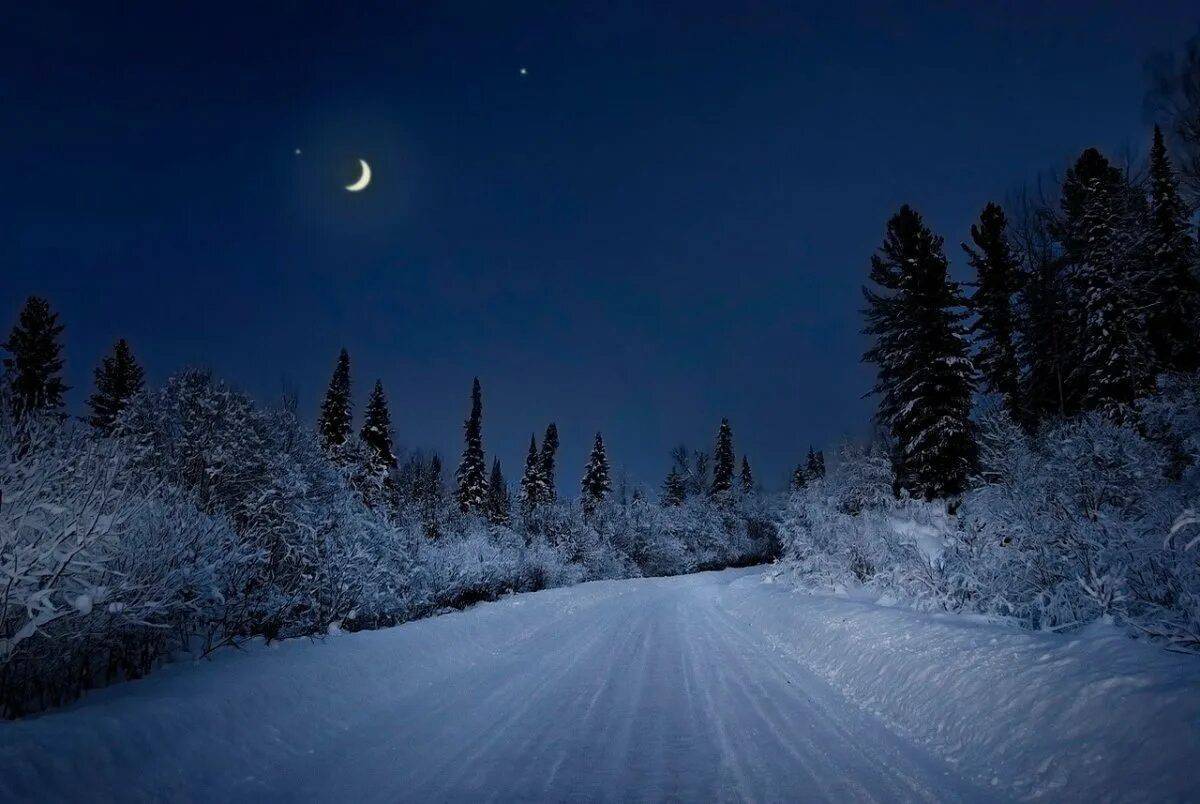 Зимняя ночь #9
