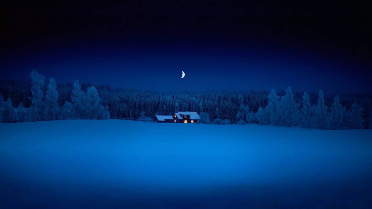 Зимняя ночь #16