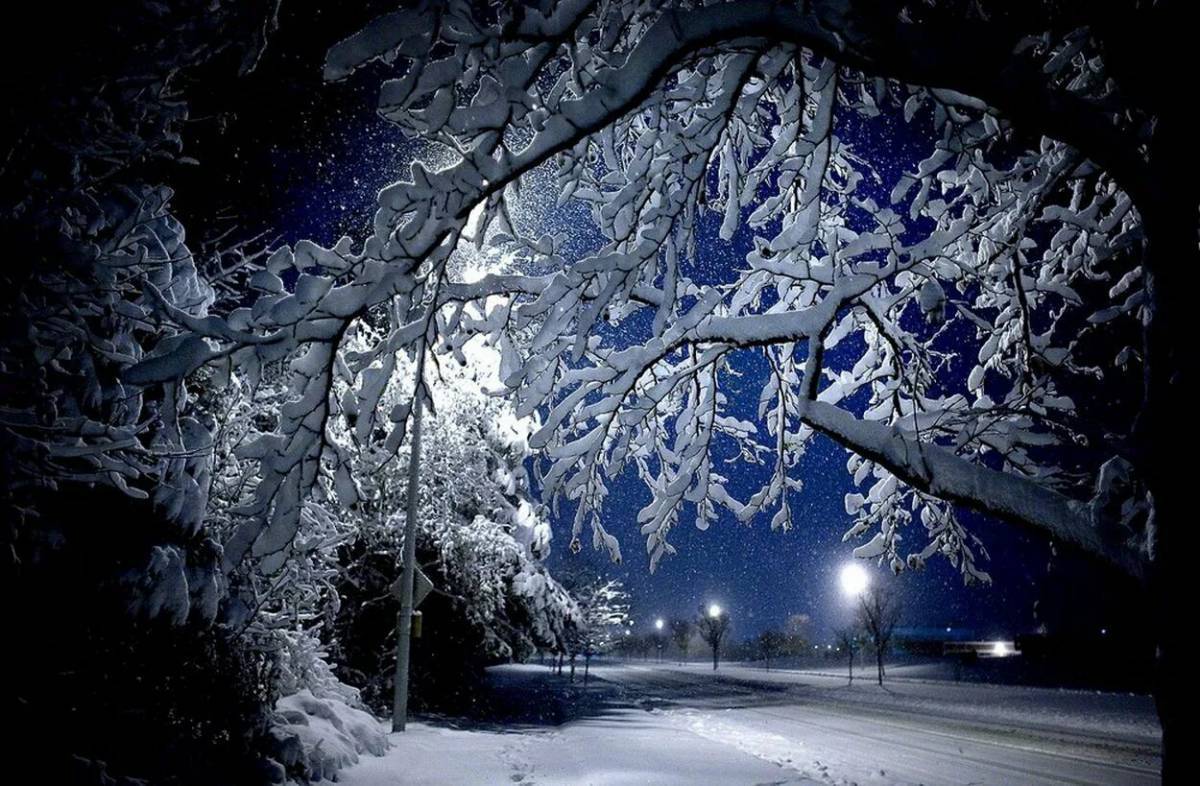 Зимняя ночь #18