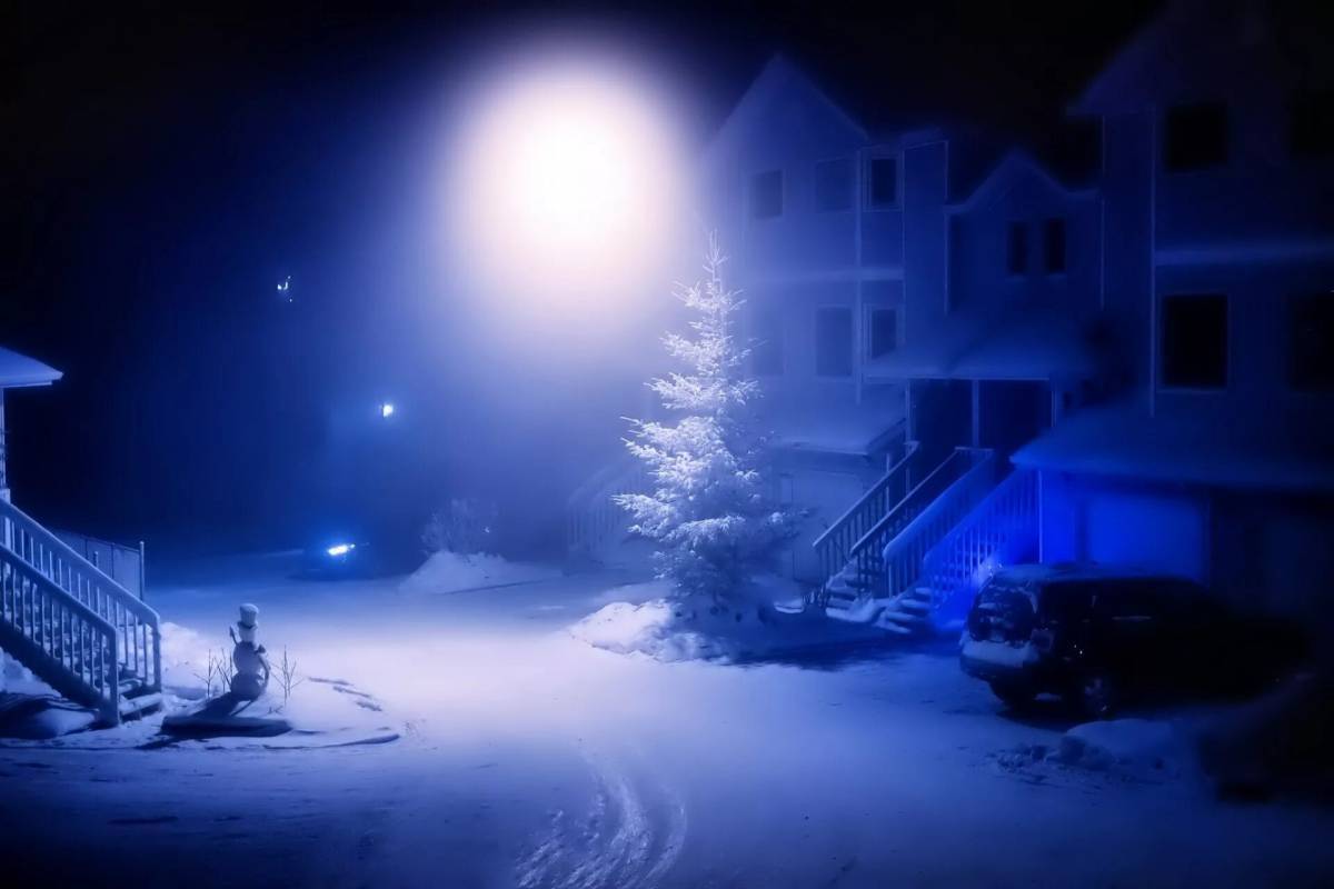 Зимняя ночь #26