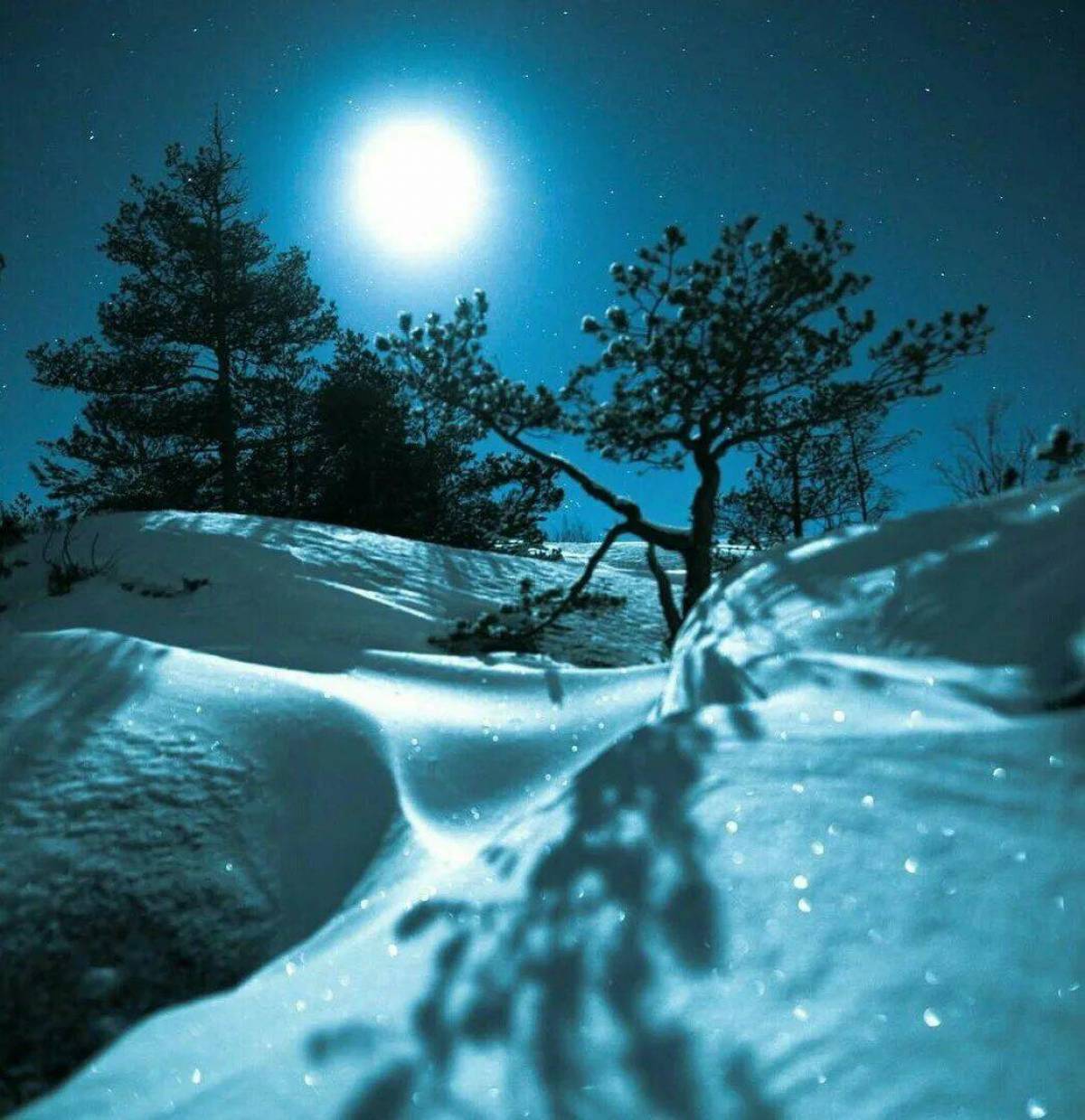 Зимняя ночь #31