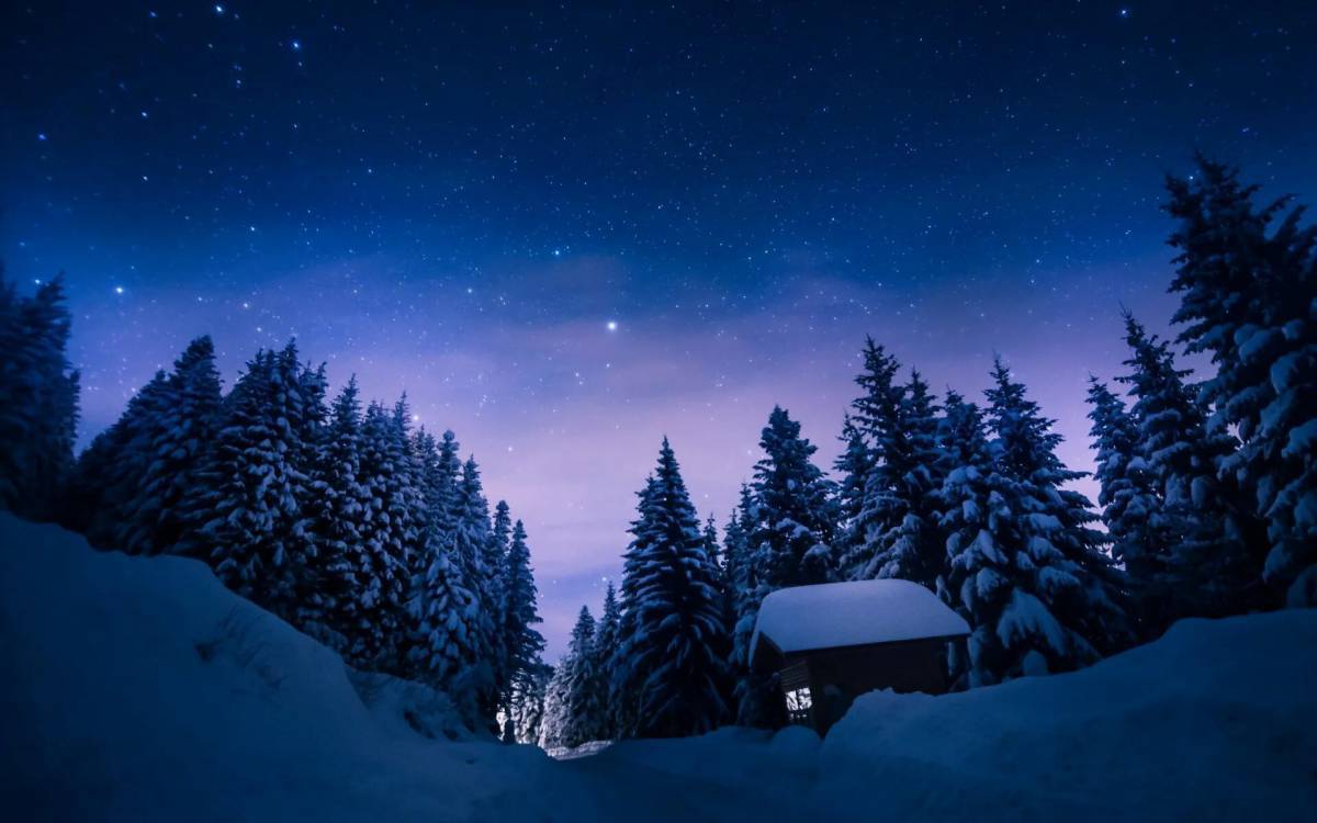 Зимняя ночь #32