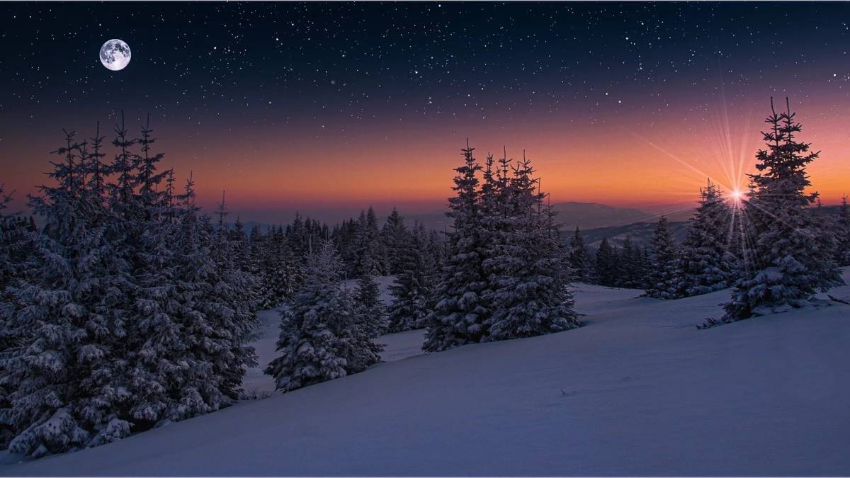 Зимняя ночь #39