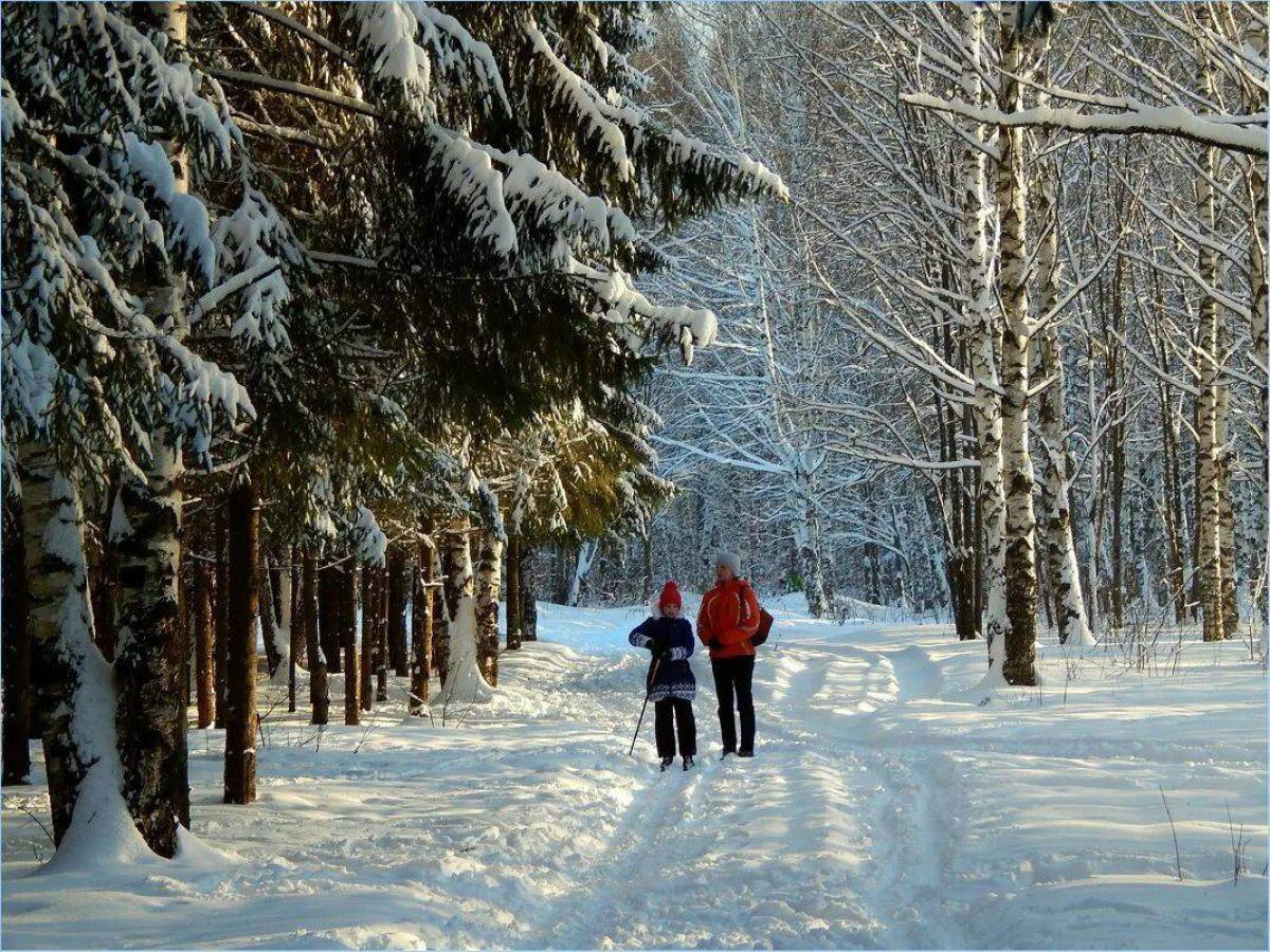 прогулка в парке зимой