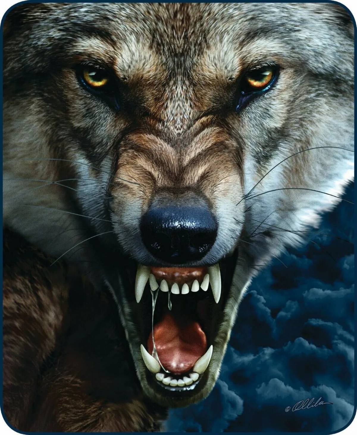 Злой волк #36