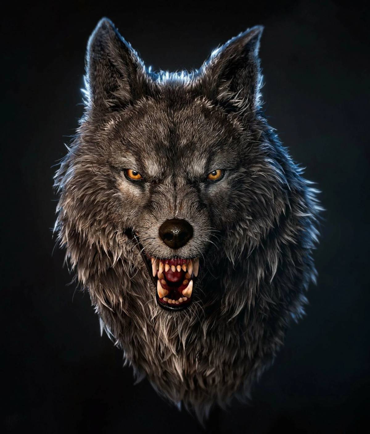 Злой волк #37