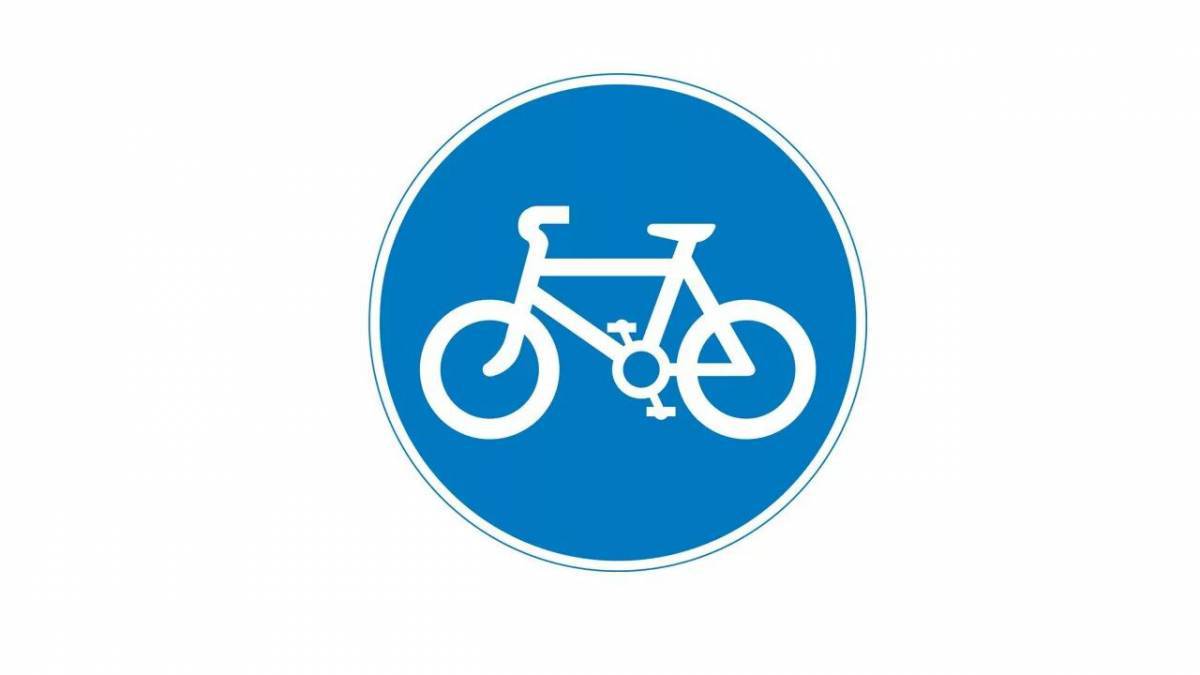Знак велосипедная дорожка #1