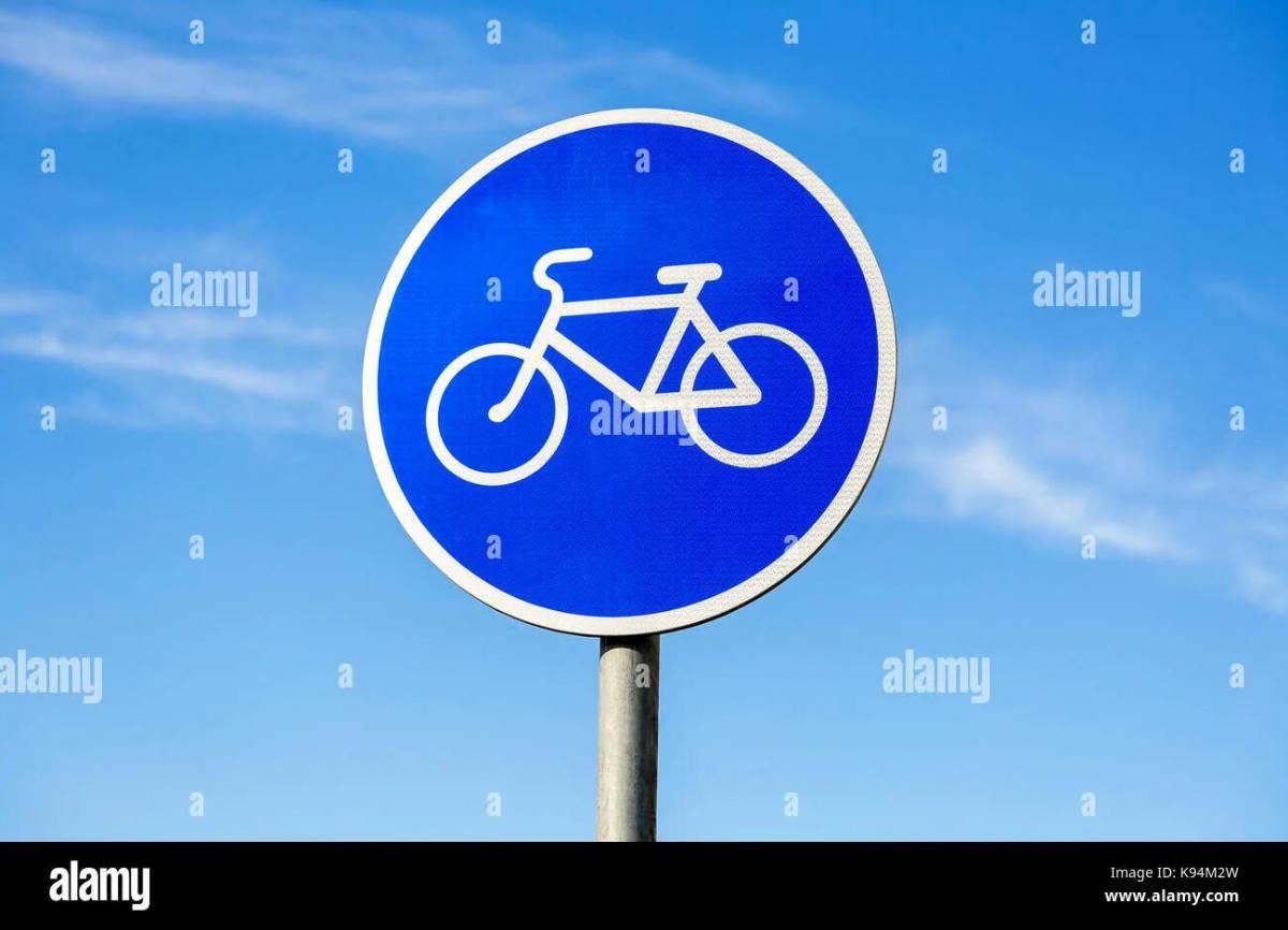 Знак велосипедная дорожка #10