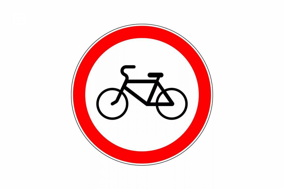 Знак велосипедная дорожка #31