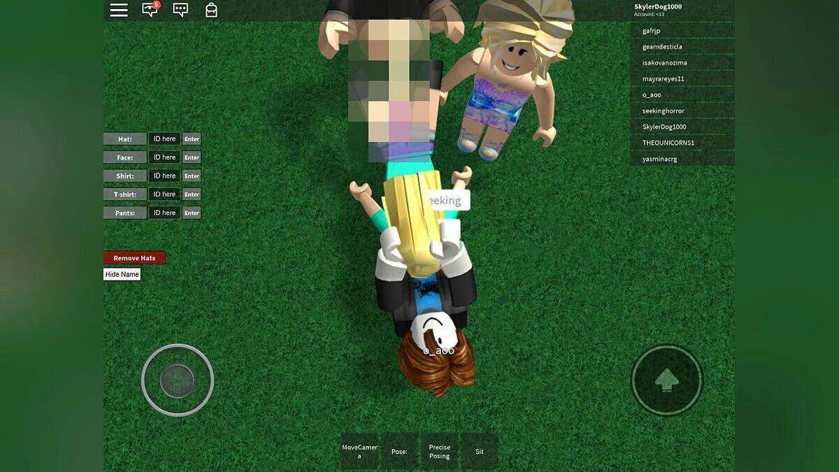 Игрок roblox