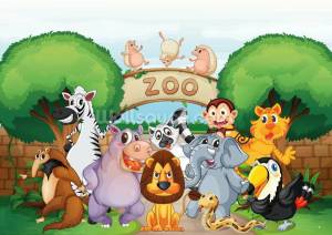 Раскраска зоопарк для детей #18 #320178