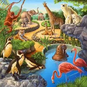 Раскраска зоопарк для детей #28 #320188