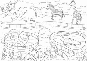 Раскраска зоопарк для детей 3 4 лет #17 #320214