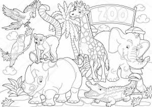 Раскраска зоопарк для детей 6 7 лет #12 #320248