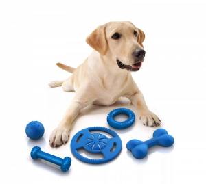 Раскраска игрушки для собак #19 #323671