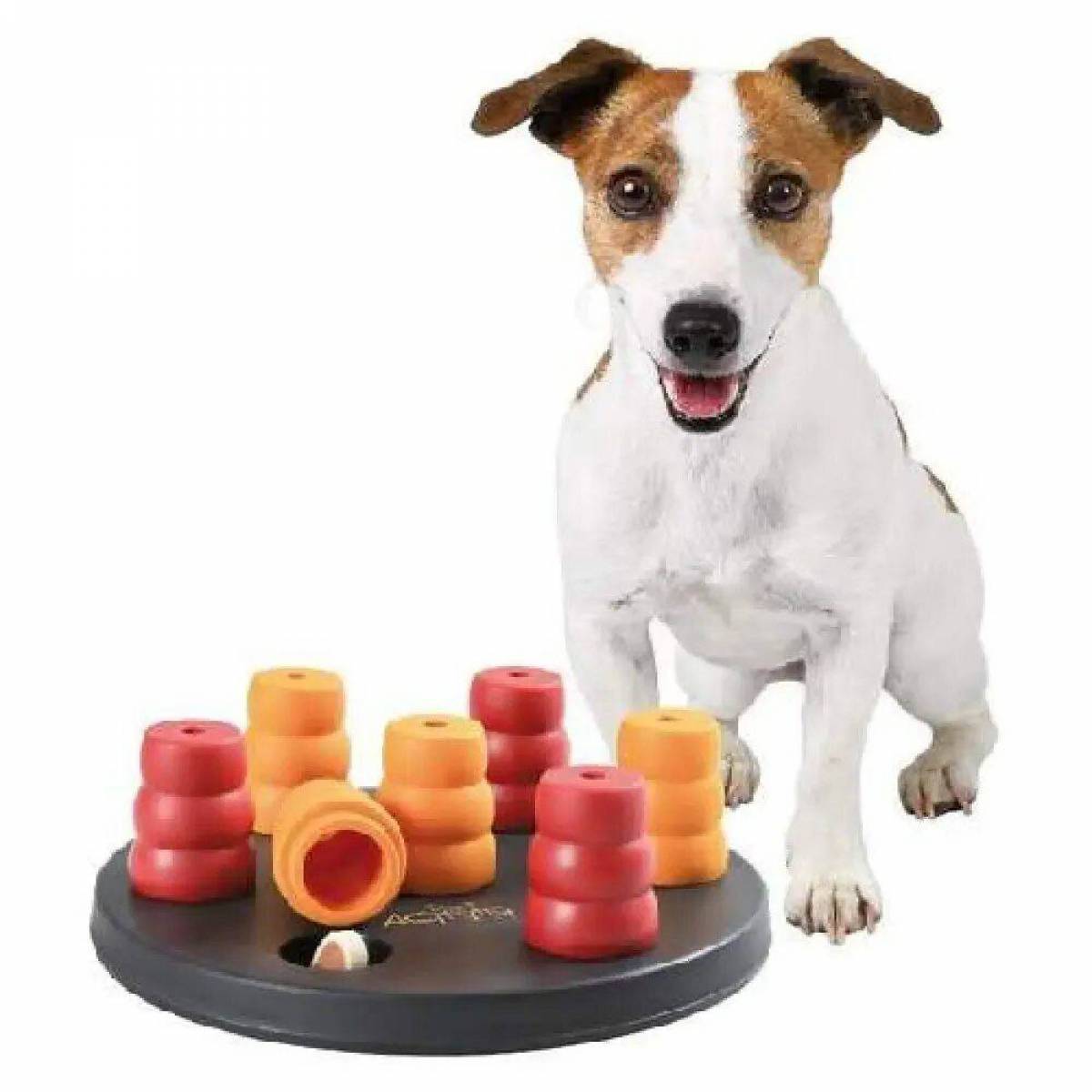 Игрушки для собак #17