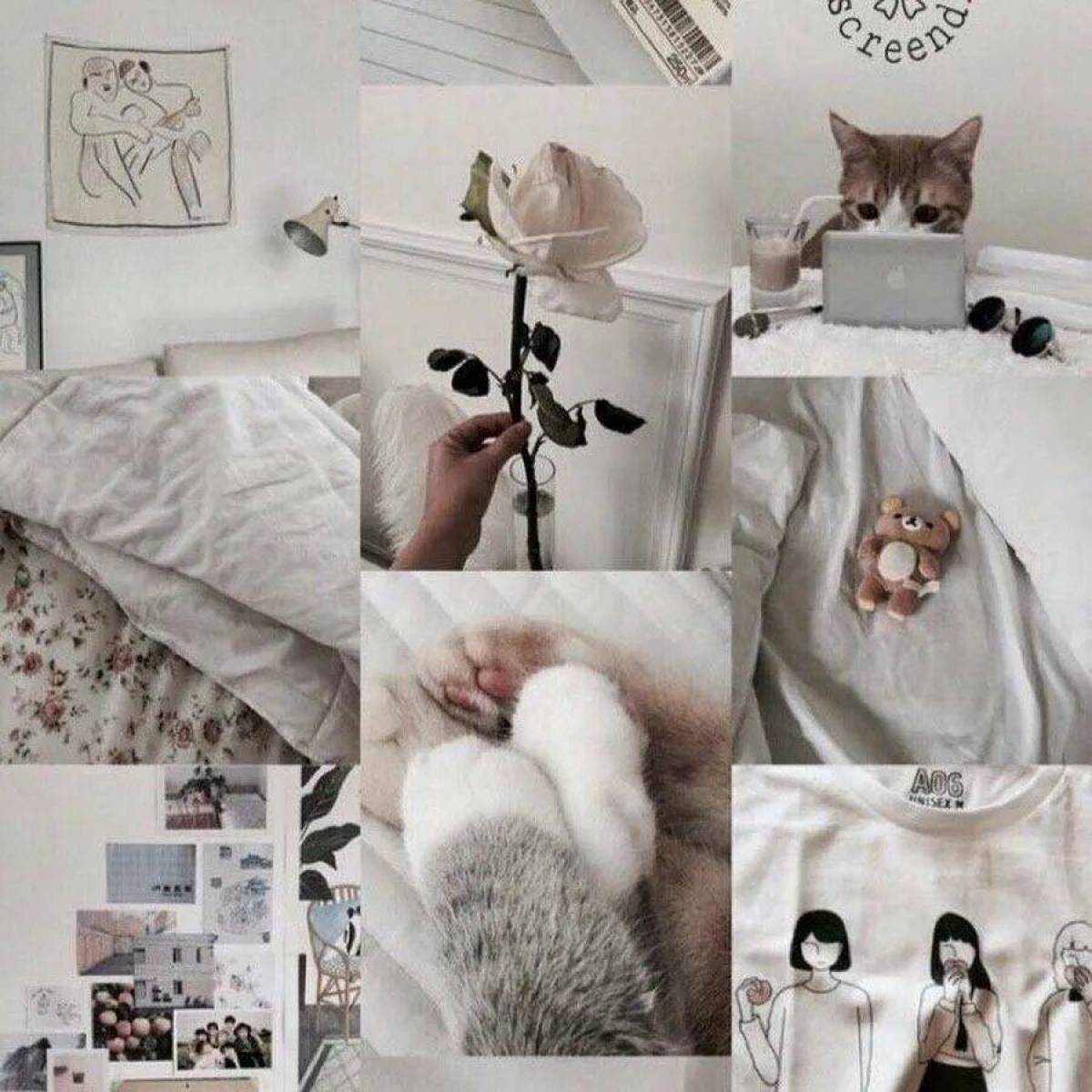 Эстетика котики